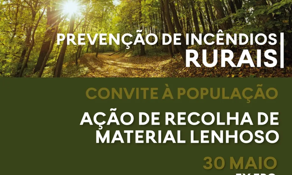 Santarém: Proteção Civil limpa matas municipais e abre recolha de lenha à população