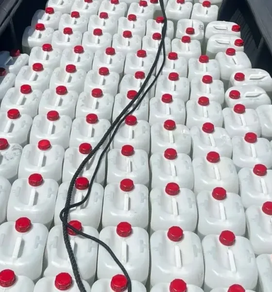 Polícia Marítima apreende 124 bidões de combustível suspeitos de ligação ao narcotráfico