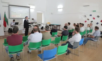 Vidigueira: Futuro dos vinhos do Alentejo e plano estratégico 2026-2030 em debate