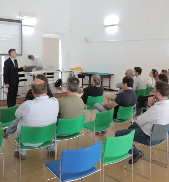 Vidigueira: Futuro dos vinhos do Alentejo e plano estratégico 2026-2030 em debate