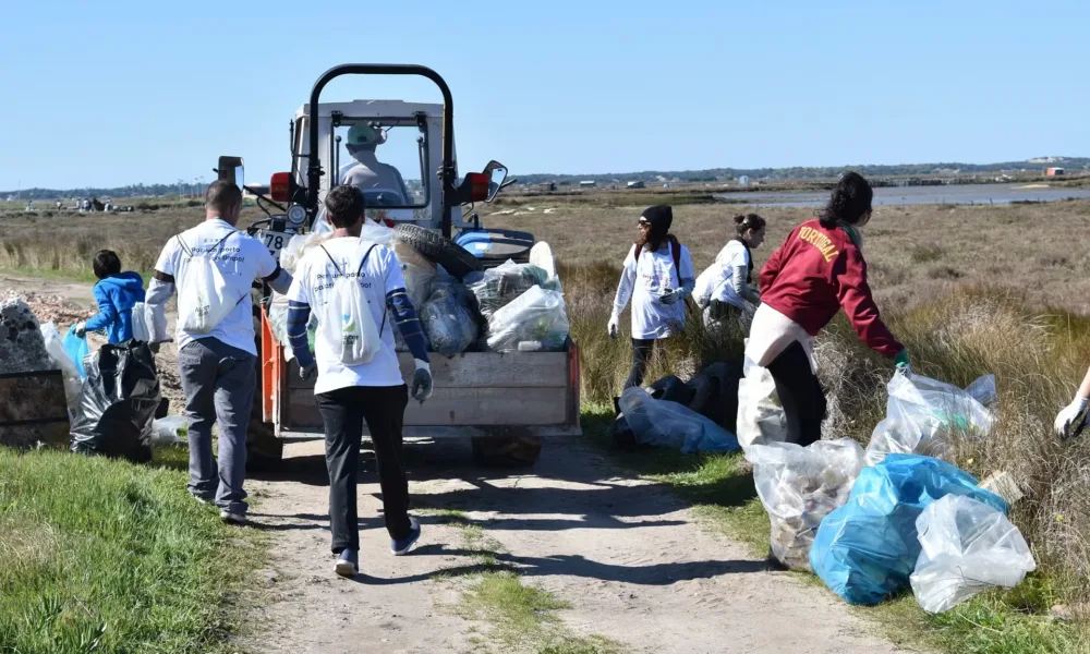 “Mariscar SEM Lixo” promove limpeza e sensibilização no Estuário do Sado