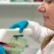Investigadores criam “nariz artificial” para detetar frescura de alimentos e reduzir desperdício