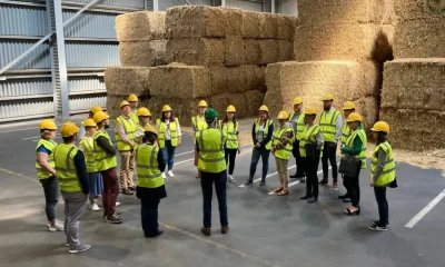 Projeto germano-dinamarquês impulsiona sustentabilidade em pequenas empresas