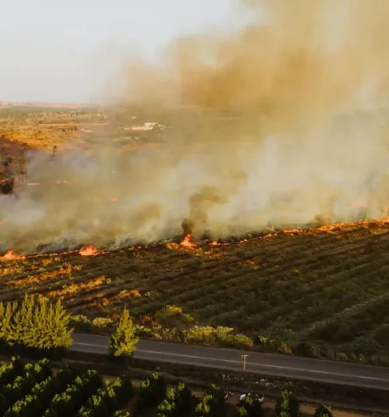Aviso da Proteção Civil: risco de incêndio aumenta em várias regiões do país