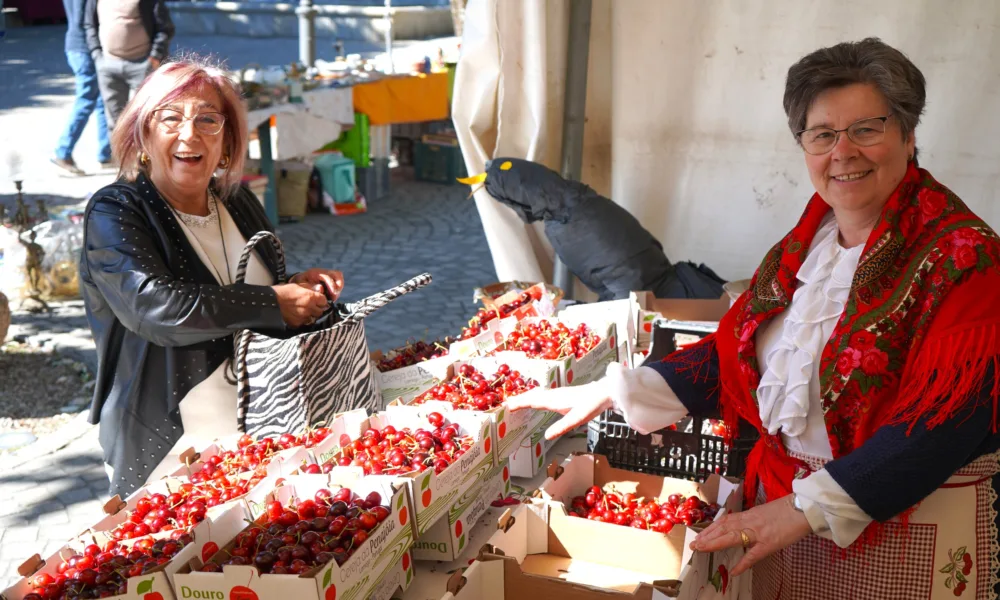 Todo o sabor e tradição do Douro na Montra da Cereja da Penajóia