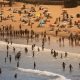 Calor extremo: onda de calor bate recordes em toda a Europa