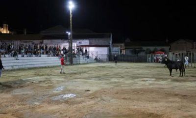 Emoção tauromáquica já se faz sentir nas noites são joaninas, numa iniciativa pr…