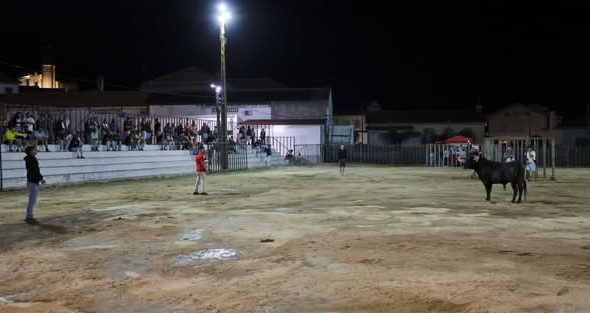 Emoção tauromáquica já se faz sentir nas noites são joaninas, numa iniciativa pr…