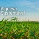 Alqueva Sustentável disponibiliza ferramentas digitais para medir e melhorar a sustentabilidade do território