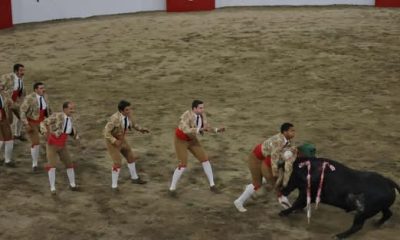 Aficionados encheram bancadas da Praça de Toiros de Arronches em mais um espetác…