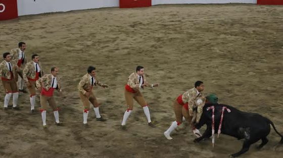 Aficionados encheram bancadas da Praça de Toiros de Arronches em mais um espetác…