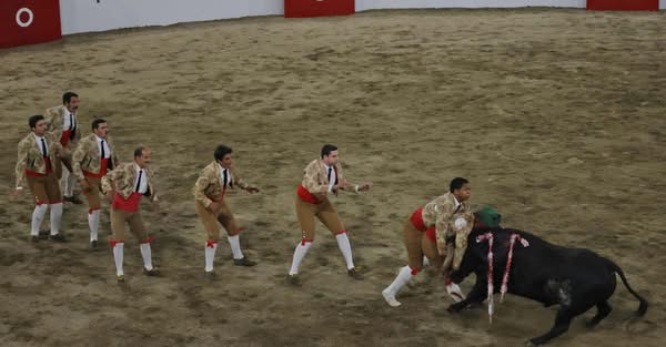 Aficionados encheram bancadas da Praça de Toiros de Arronches em mais um espetác…
