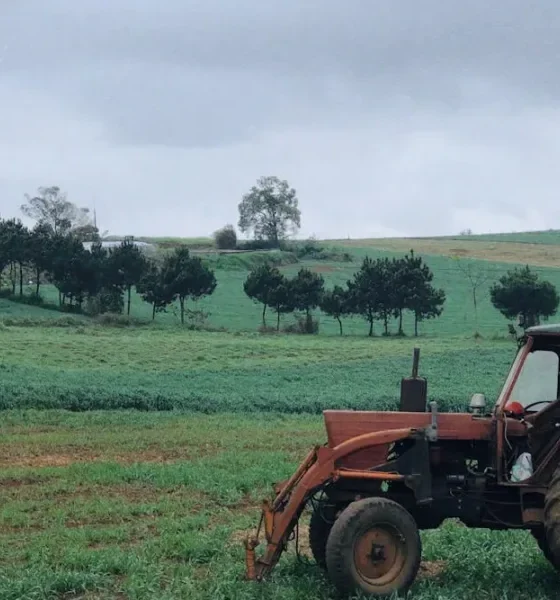 Vendas de tratores agrícolas disparam mais de 17% em maio e consolidam ciclo de crescimento em Portugal