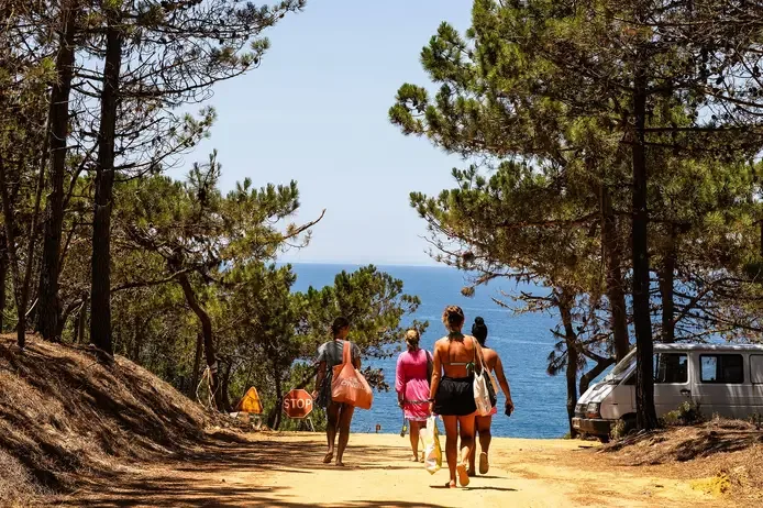 Grândola: Oitenta por cento da costa continua sem acessos formais às praias um ano após promessa do Governo