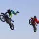 Público presente no Jardim do Fosso maravilhado com acrobacias aéreas realizadas…