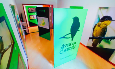 Festival de Aves estreia-se na FEI-TUR de 11 a 14 de Junho