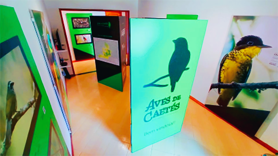 Festival de Aves estreia-se na FEI-TUR de 11 a 14 de Junho