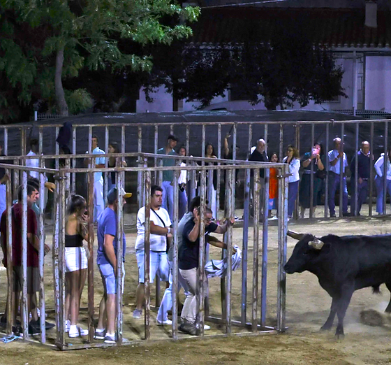 As festas de São João em Arronches, arrancaram com as habituais largadas