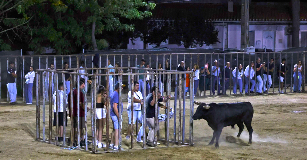 As festas de São João em Arronches, arrancaram com as habituais largadas