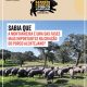 Sabia que a montanheira é uma das fases mais importantes na criação do Porco Ale…