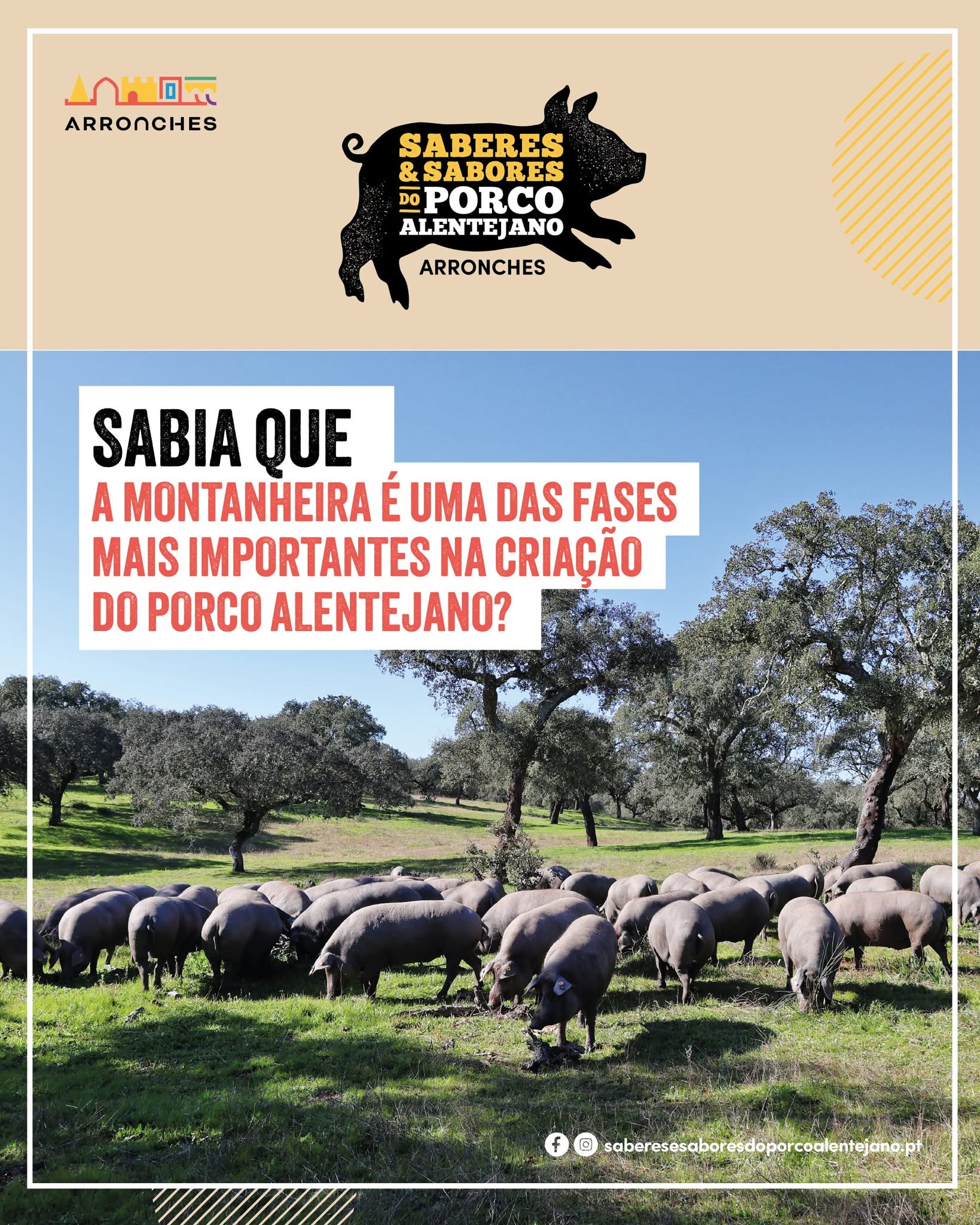 Sabia que a montanheira é uma das fases mais importantes na criação do Porco Ale…