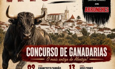 XV LARGADAS DE TOUROS DE SÃO JOÃO

(Integradas nas Festas de São João)

De 9 (te…