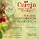 Cereja de São Julião – Portalegre 2026 

Caminhada com Apanha de Cereja

10 de …