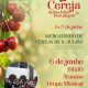 As cerejas de São Julião vêm à cidade 

Nos dias 6 e 7 de junho, entre as 17h00…