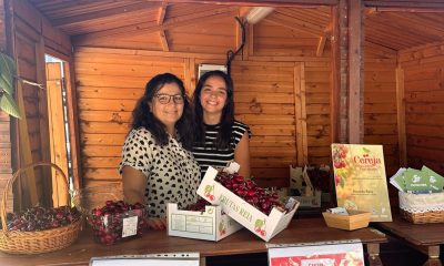 O Mercadinho da Cereja de São Julião continua!

No segundo dia deste evento, ve…