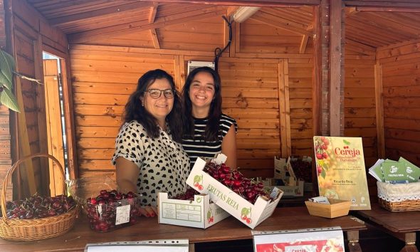O Mercadinho da Cereja de São Julião continua!

No segundo dia deste evento, ve…