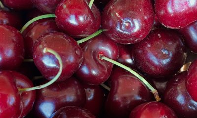 Já se provam as cerejas no Mercadinho do Jardim da Avenida da Liberdade. 

Até à…