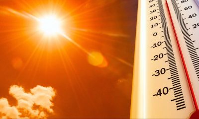 ATENÇÃO 

O IPMA prevê, para os próximos dias, tempo quente e seco, com temperat…