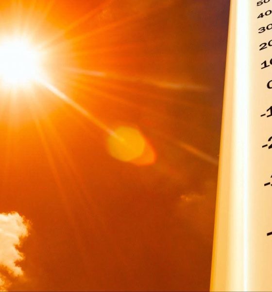 ATENÇÃO 

O IPMA prevê, para os próximos dias, tempo quente e seco, com temperat…