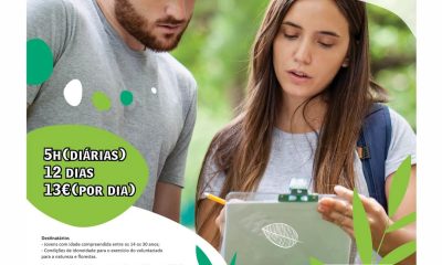 Voluntariado Jovem para a Natureza e Florestas 
Programa de Voluntariado destina…