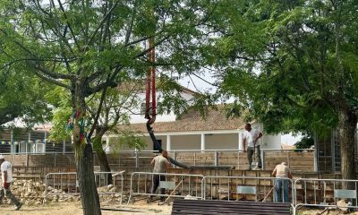 Município de Alvito investe na melhoria das escolas de Vila Nova da Baronia

O …