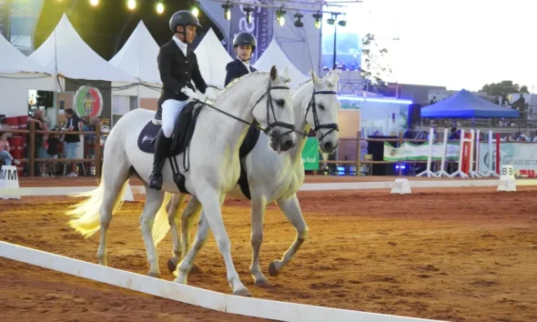A Gala Equestre do Centro Equestre de Santo André proporcionou um espetáculo mem…