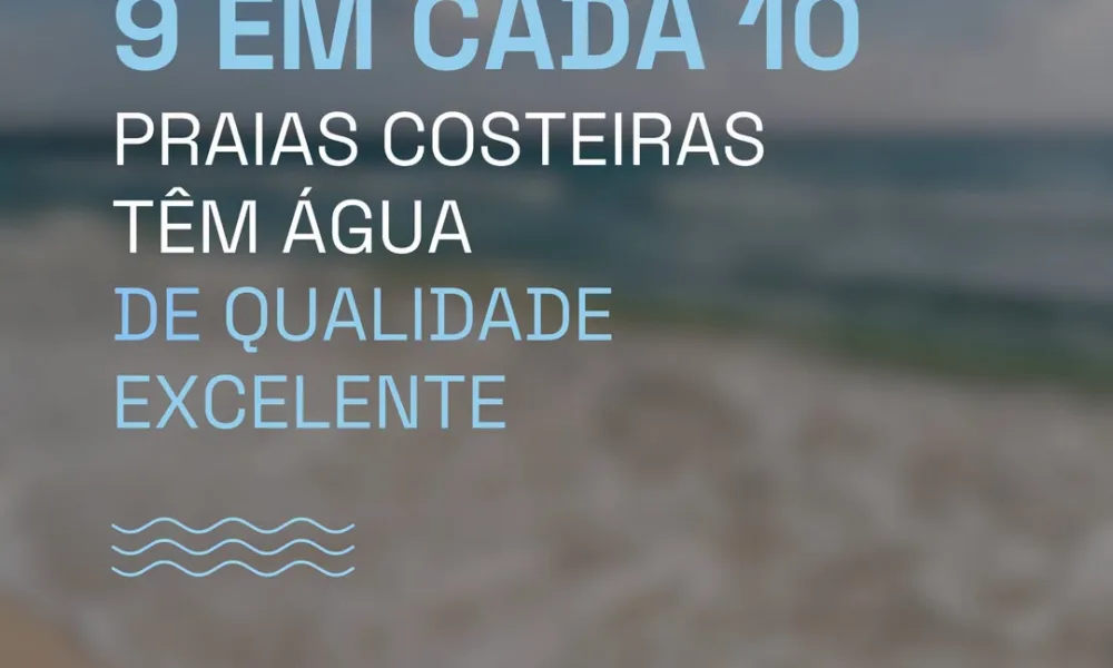 A chegada do verão faz disparar a afluência às praias do país.

Em Portugal, 90%…
