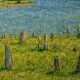 A exposição “Alentejo – Light, Land & Legacy”, de Alexandra Adams, vai estar pat…