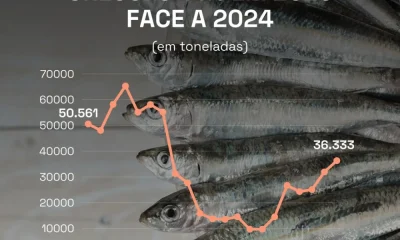 A sardinha, muito consumida nas festas dos santos populares, foi o peixe do mar …