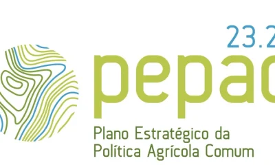 AVISO | CANDIDATURAS ABERTAS

PREVENÇÃO DA FLORESTA CONTRA AGENTES BIÓTICOS E A…