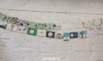 Amarante expõe na Biblioteca Municipal trabalhos do concurso escolar “A Floresta é a Minha Escola” até 5 de julho