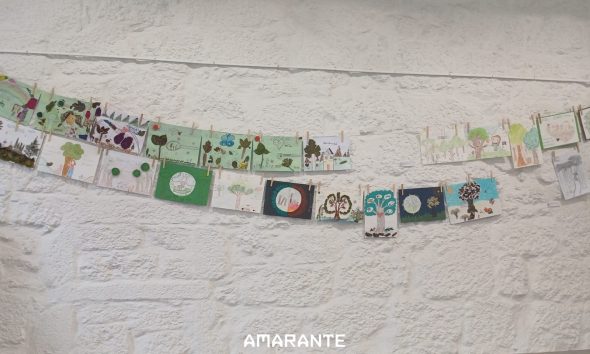 Amarante expõe na Biblioteca Municipal trabalhos do concurso escolar “A Floresta é a Minha Escola” até 5 de julho