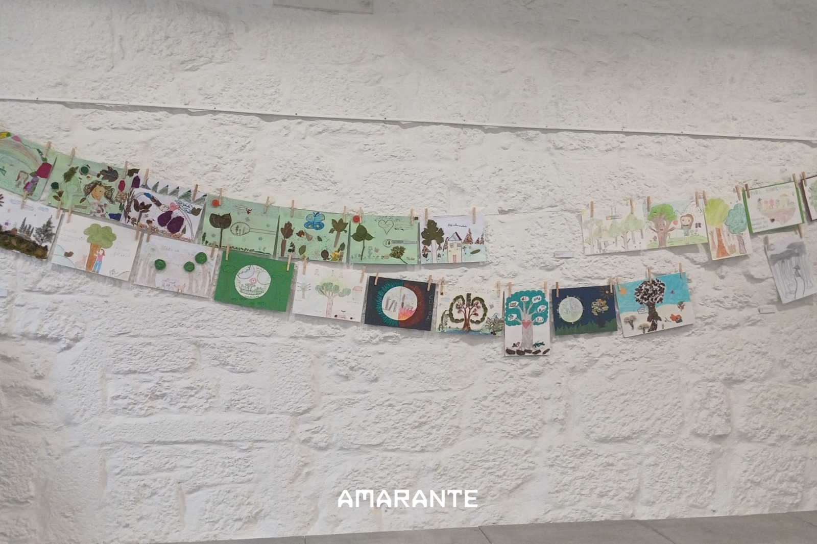Amarante expõe na Biblioteca Municipal trabalhos do concurso escolar “A Floresta é a Minha Escola” até 5 de julho