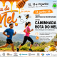 Caminhada da Rota do Mel convida participantes a descobrir Codessoso entre natureza e tradição apícola