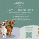 Cãominhada solidária leva participantes pelas ruas de Amarante para apoiar animais abandonados