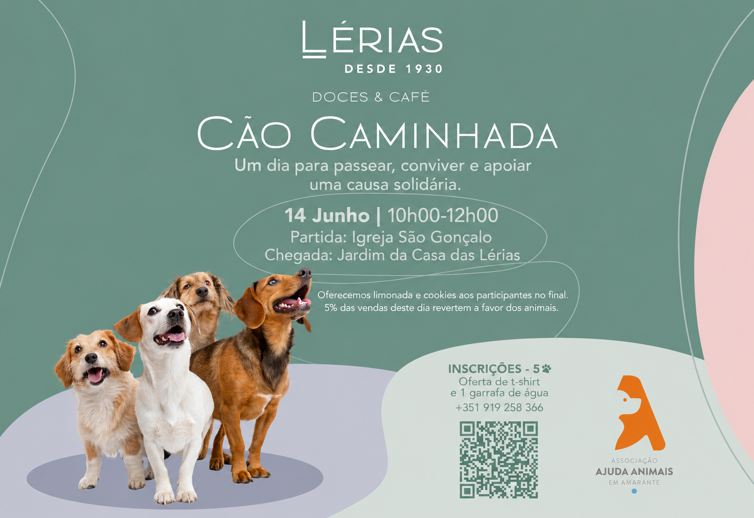 Cãominhada solidária leva participantes pelas ruas de Amarante para apoiar animais abandonados