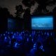 Cinema silencioso leva “Segredos das Abelhas” à Mata de Vilar numa nova experiência cultural em Lousada