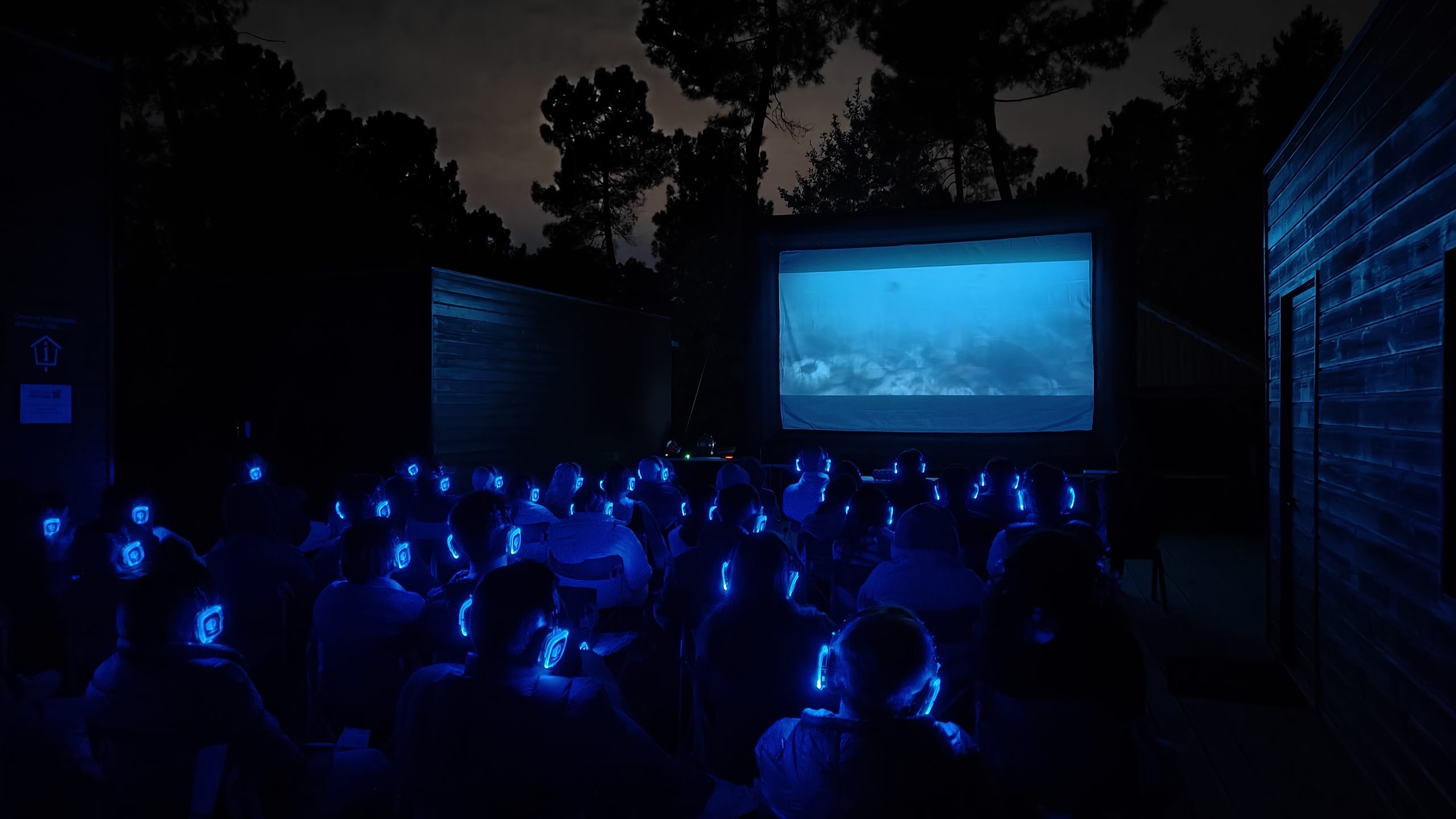 Cinema silencioso leva “Segredos das Abelhas” à Mata de Vilar numa nova experiência cultural em Lousada