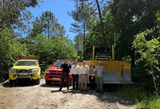 Cinfães reforça prevenção de incêndios com trabalhos de regularização da rede viária florestal