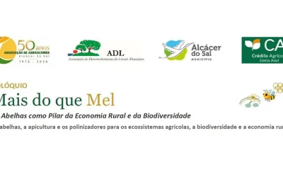 Colóquio “Mais do que Mel” antecede inauguração da PIMEL

O mel é o produto end…
